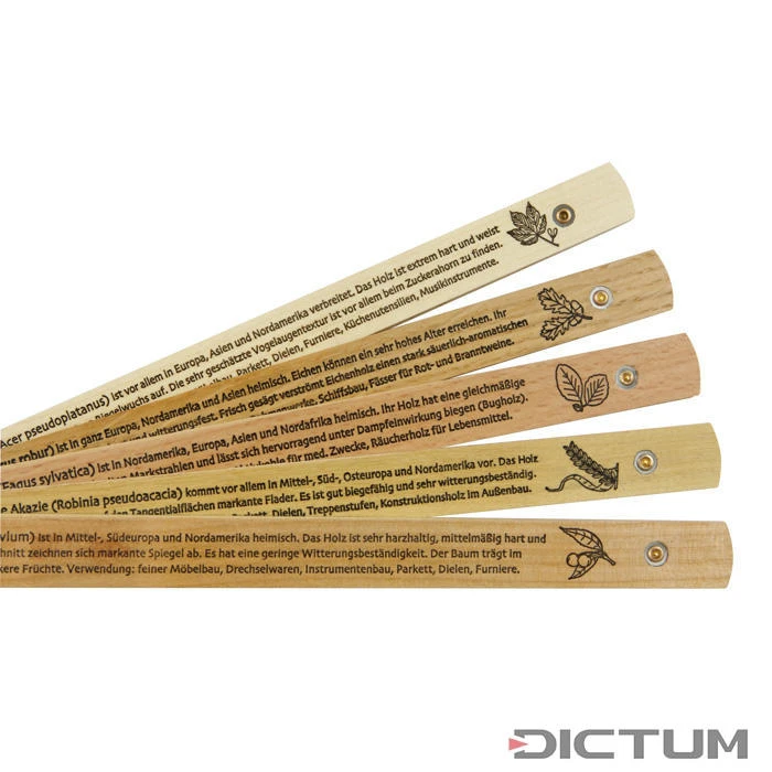 Mètre-pliant Wood Stock, Bois Européens 4 Mètre-pliant Wood Stock, Bois Européens – Image 3